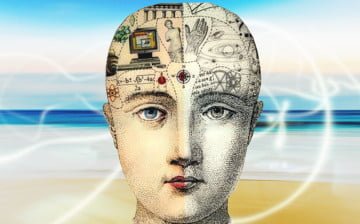 COLOMBO: ¿En qué lugar del cerebro está tu motivación, metas y éxito?