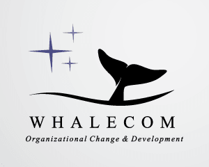 Talleres de verano en Whalecom: Neurociencias, neurojuegos y creatividad