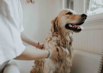10 negocios a los que te puedes dedicar después de las 17:00