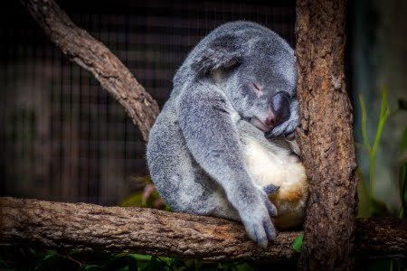 COLOMBO: Las 7 cosas que más energía nos quitan