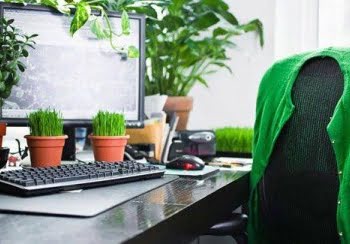 5 tips para emprender una oficina ecológica