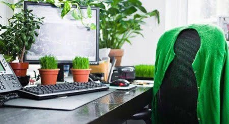 5 tips para emprender una oficina ecológica