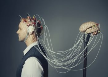 Taller de Neurociencias aplicadas a la educación
