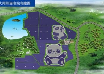 CURIOSO: El oso panda que produce energía solar