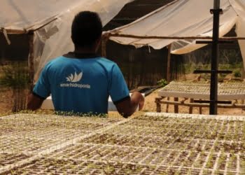 Emprendedores mexicanos lanzan una nueva moneda virtual: el Agrocoin