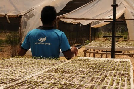 Emprendedores mexicanos lanzan una nueva moneda virtual: el Agrocoin