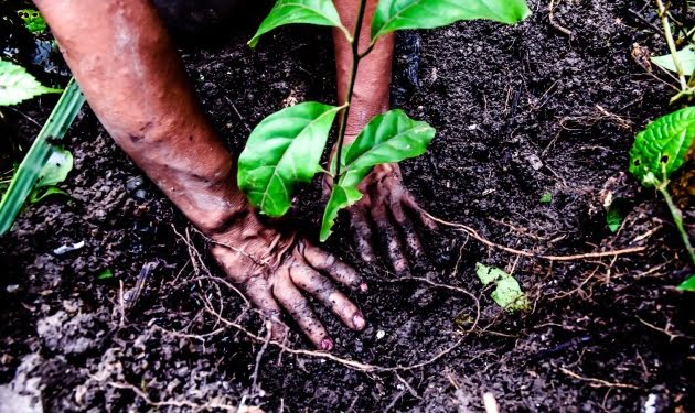 ONE OAK , la startup española que regala tiempo al planeta