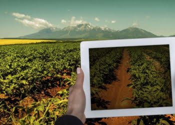 El Big Data ya llegó al campo