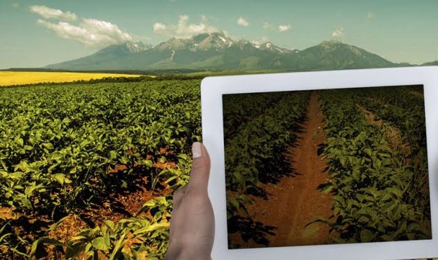 El Big Data ya llegó al campo