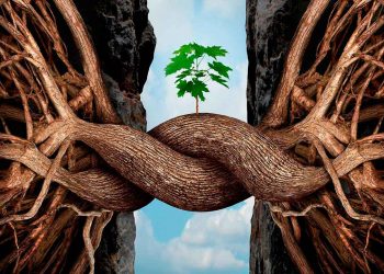 las mejores frases de resiliencia