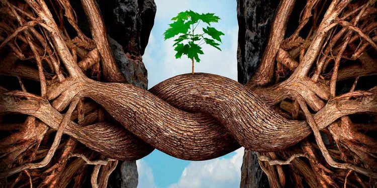 las mejores frases de resiliencia