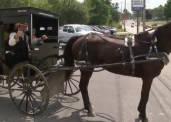 CURIOSO: Los Amish ya tienen su «Uber» a caballo