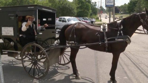 CURIOSO: Los Amish ya tienen su «Uber» a caballo