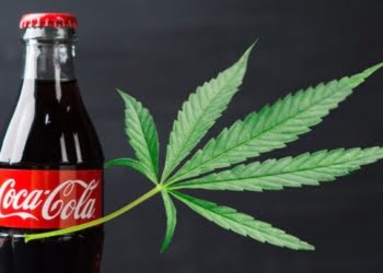 Coca-Cola está ‘en conversaciones’ para fabricar bebidas con infusión de marihuana