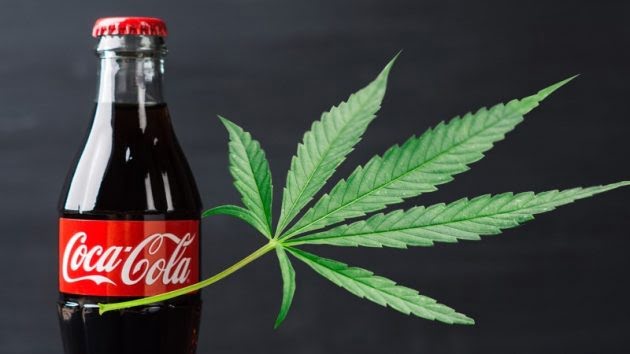 Coca-Cola está ‘en conversaciones’ para fabricar bebidas con infusión de marihuana