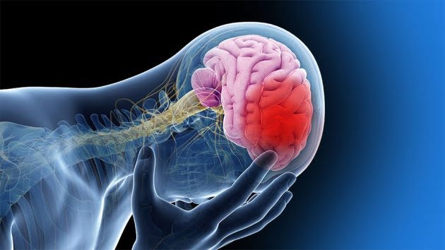 Pena natural: Cuando el cerebro provoca la tragedia