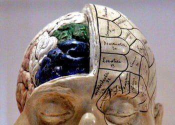 Herramientas para evitar el declive intelectual provocado por la edad