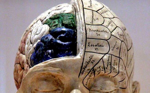 Herramientas para evitar el declive intelectual provocado por la edad
