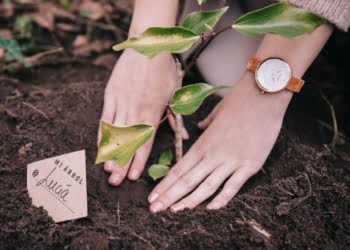 La startup española de moda sostenible ‘ONE OAK’ busca inversores para reforestar bosques en toda Europa