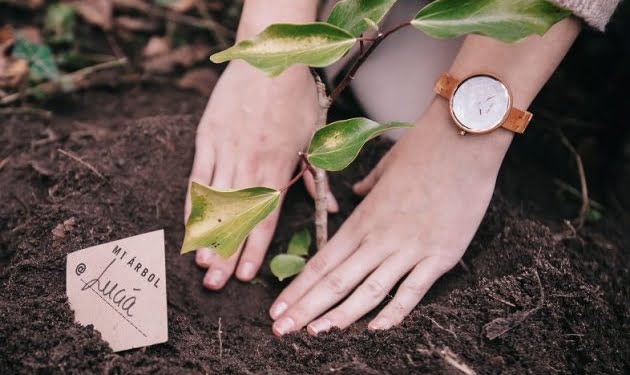 La startup española de moda sostenible ‘ONE OAK’ busca inversores para reforestar bosques en toda Europa