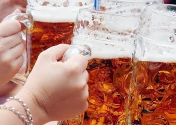 Datos curiosos sobre la cerveza