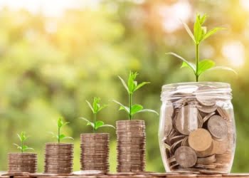 15 pasos para hacer crecer tu empresa