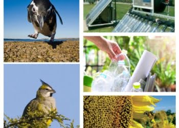 Extienden el plazo de la convocatoria del Fondo para la Conservación Ambiental
