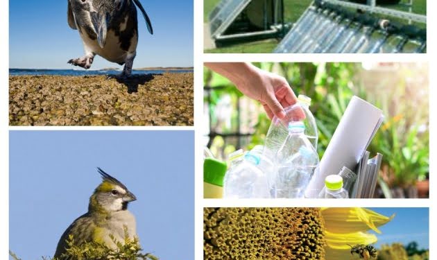 Extienden el plazo de la convocatoria del Fondo para la Conservación Ambiental