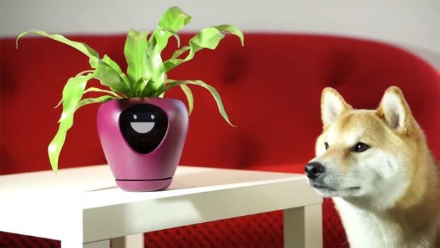 CURIOSO: Esta maceta refleja las emociones de las plantas
