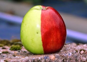Descubre si tienes carácter emprendedor