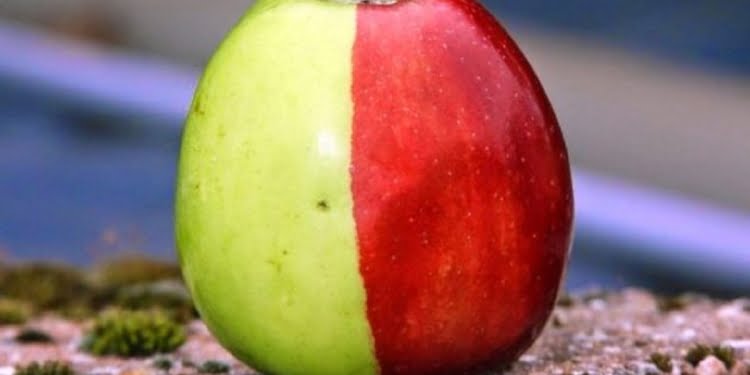 Descubre si tienes carácter emprendedor