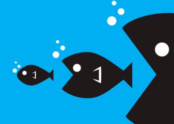 A 9 de cada 10 emprendedores se los devora el ecosistema