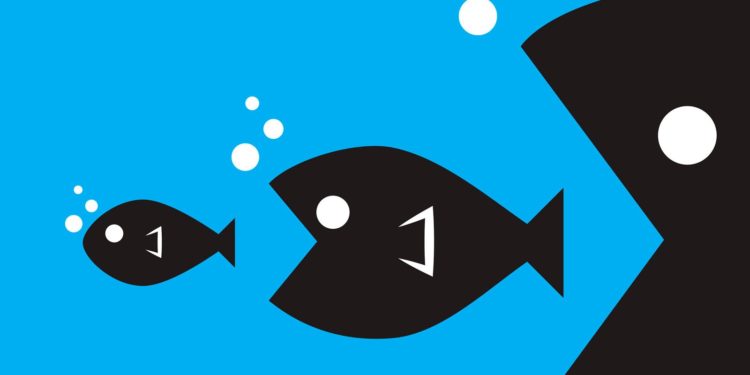 A 9 de cada 10 emprendedores se los devora el ecosistema