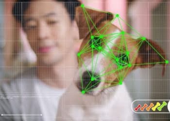 Original: Tienda online de mascotas utiliza reconocimiento facial para perros