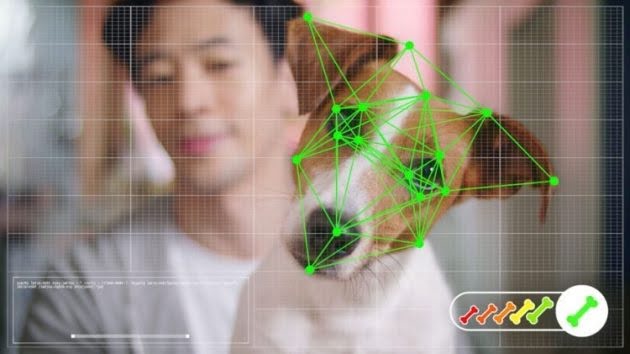 Original: Tienda online de mascotas utiliza reconocimiento facial para perros