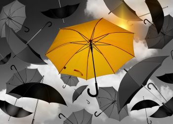 Las actitudes emprendedoras