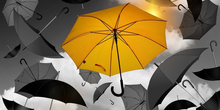 Las actitudes emprendedoras