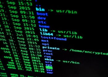 previsiones Digicert sobre seguridad y IoT 2020