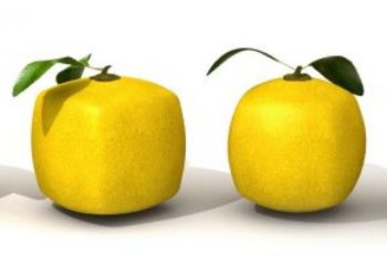 Los hábitos de los emprendedores innovadores
