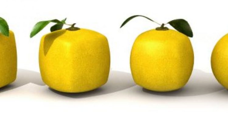 Los hábitos de los emprendedores innovadores
