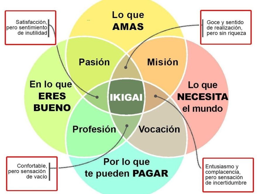 Ikigai o aquello que le da sentido a tu vida