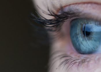 Tips para aprender a visionar el futuro de tu negocio