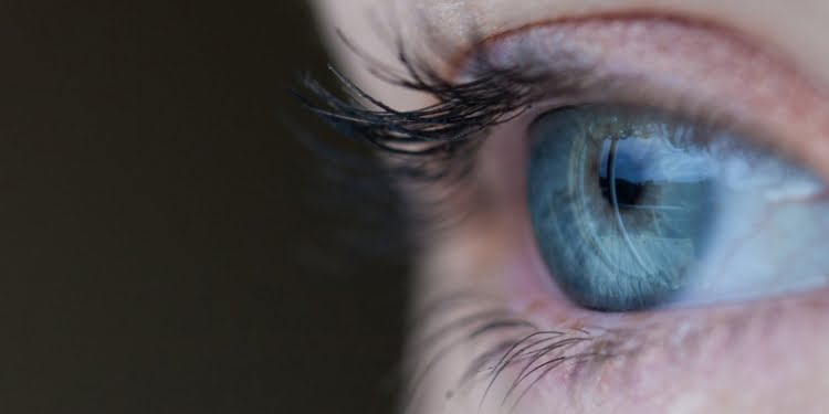Tips para aprender a visionar el futuro de tu negocio