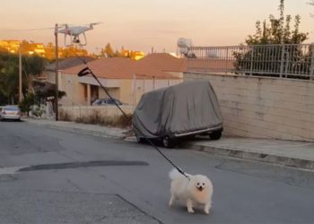La cuarentena guza el ingenio: Chipriota saca a pasear su perro con un dron