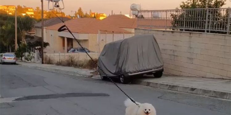 La cuarentena guza el ingenio: Chipriota saca a pasear su perro con un dron