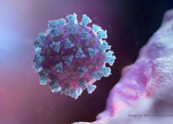 como prevenir el coronavirus