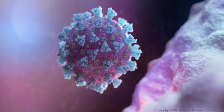 como prevenir el coronavirus
