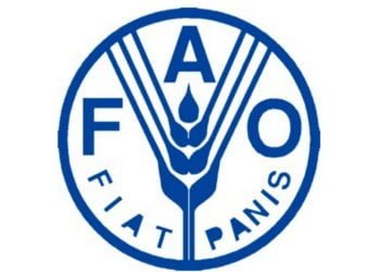 25 países de América Latina y el Caribe se unen para coordinar la cuestión alimentaria durante la crisis del covid-19