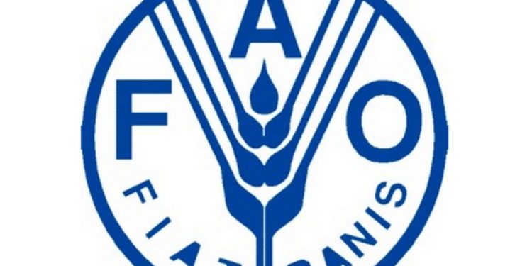 25 países de América Latina y el Caribe se unen para coordinar la cuestión alimentaria durante la crisis del covid-19