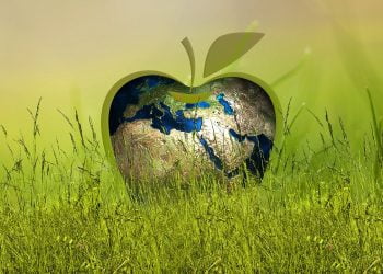 Mercado Libre apoya a emprendedores sustentables latinoamericanos